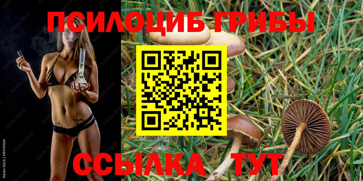 Псилоцибиновые грибы GOLDEN TEACHER  Вход с VPN  Псилоцибиновые грибы Psilocybine cubensis  Усть-Илимск 